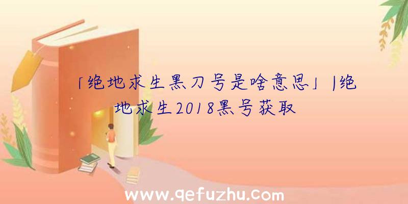「绝地求生黑刀号是啥意思」|绝地求生2018黑号获取